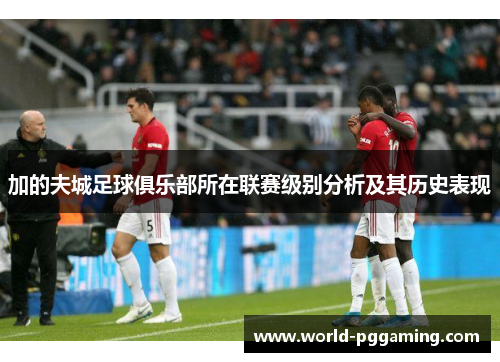 加的夫城足球俱乐部所在联赛级别分析及其历史表现